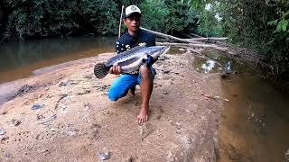 MENGEJUTKAN !!..SAMBARAN TOMAN DI SUNGAI TENGAH HUTAN YANG BELUM PERNAH TERJAMAH BROO...