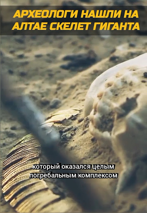 Археологи раскапали гигантов на Алтае!! - YouTube