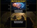 🧠 İlginç Bilim ve Psikoloji Gerçekleri!