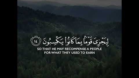 حالات واتس اب قرآن بصوت يريح قلبك ❤🌸 تلاوة هادئة