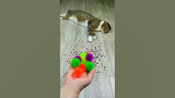 Cat Barsik Beads 🔔 Balls 🌈 Reverse video #marblerunandmore #cat #reverse