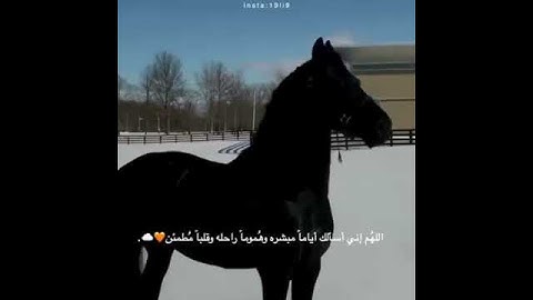 حالات واتس اب دينيه ((ماتيسر من سورة ال عمران🖤🍂