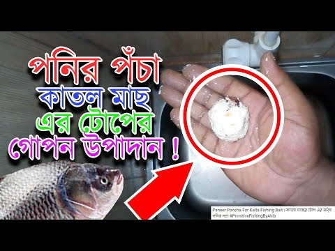 ভিডিও: পনির সস দিয়ে মাছ লাঠি দেয়