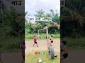 #volleyball #sports