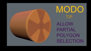 Modo TIP : Allow Partial Polygon Selection.