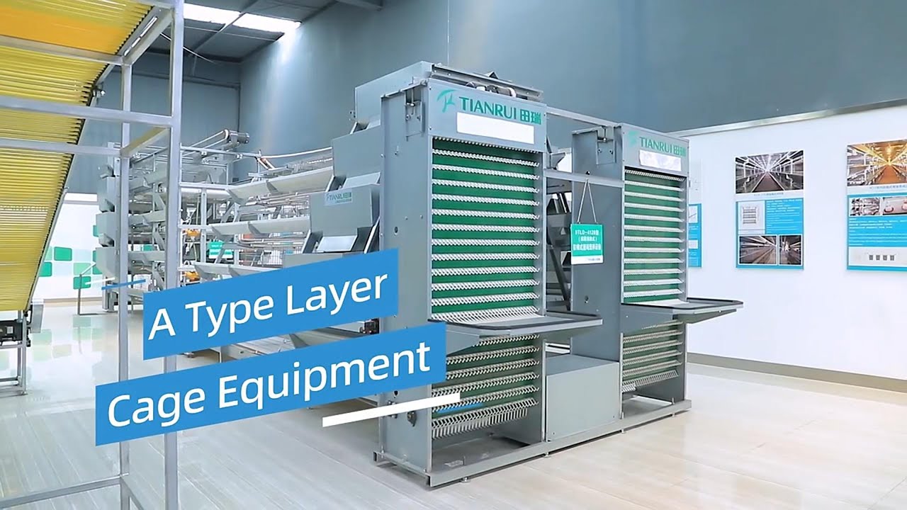 A Type Layer Cage Equipment Product function introduction - YouTube