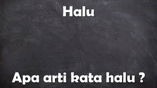 Apa arti kata Halu 
