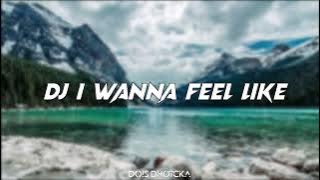 DJ I Wanna Feel like Kanye (Funky Night)