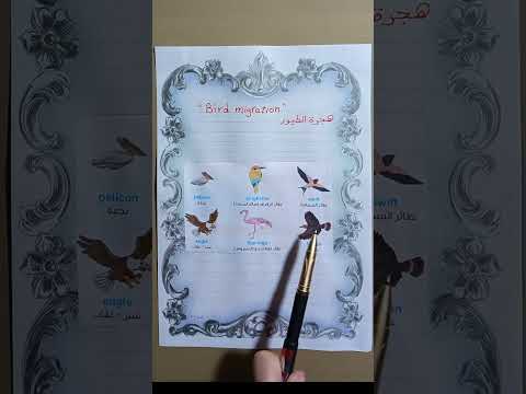 هجرة الطيور   للصف السادس الابتدائي مس نسرين اسماعيل  6