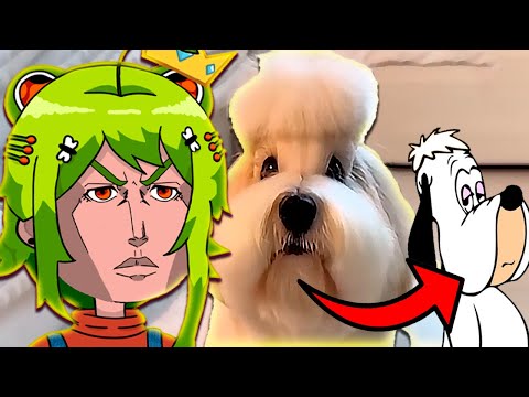 ESTE CACHORRO ADQUIRIU O DRIP - O MELHOR COMPILADO DE MEMES 2