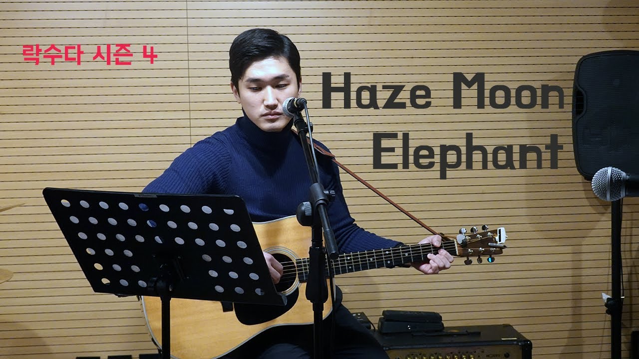 Hazemoon(헤이즈문) - elephant