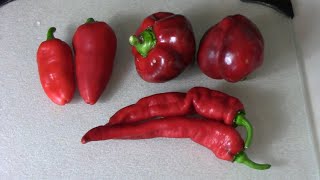 Comparing and Ranking Lesya, Lipstick, and Jimmy Nardello Sweet Peppers