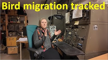 Studying bird migration with radar