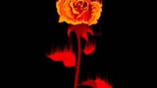 Girnata Endülüse Agit Siir Kaseti