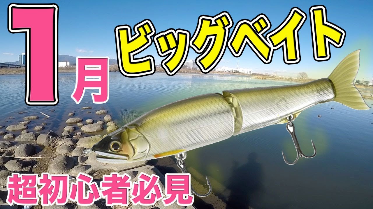 ビックベイト  新品未開封 超初心者必見】1月のビッグベイト！！ - YouTube