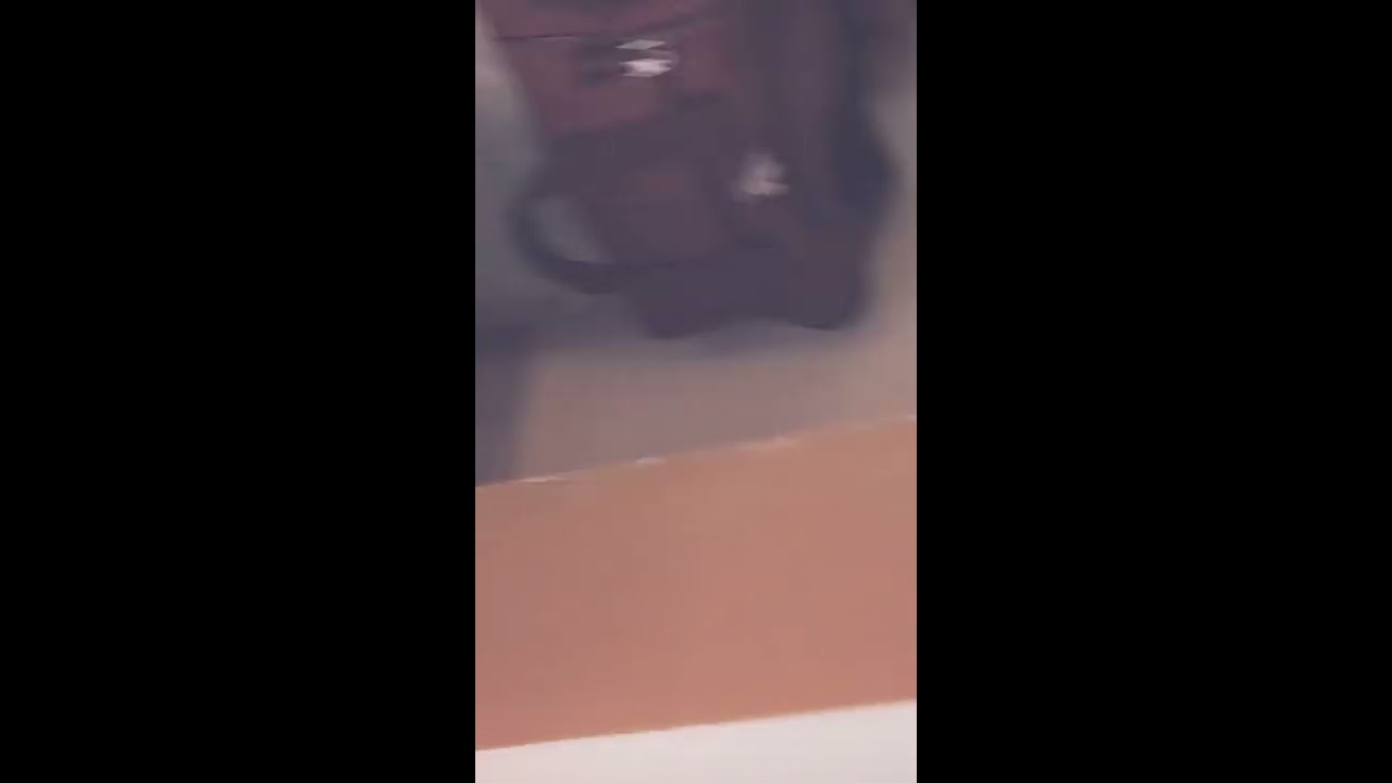 video phone beyonce mp3 Dheeraj catching cobra