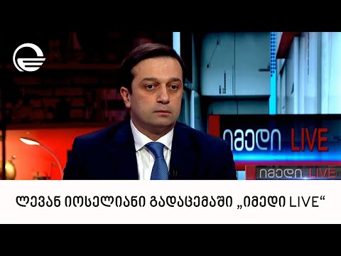 საქართველოს სახალხო დამცველი, ლევან იოსელიანი გადაცემაში „იმედი LIVE\"