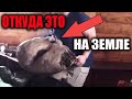 Откуда ЭТО на ЗЕМЛЕ! Наука ЭТО искажает ИЛИ что-то скрывает!? Док спецпроект