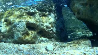 SUB - Mobius Actioncam Underwater Test