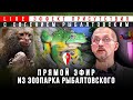 В зоопарке Евгения Рыбалтовского: в гостях у zoocomclub. #Эффект_присутствия