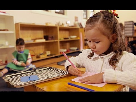 Northside Montessori School - Pymble Part C