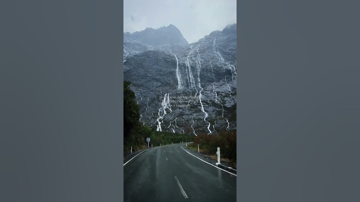 I'll never forget this day in Milford Sound, New Zealand🇳🇿 🌧🌲 #newzealand #world #fjords #mountains