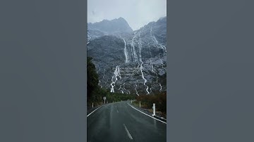 Thumbnail of I'll never forget this day in Milford Sound, New Zealand🇳🇿 🌧🌲 #newzealand #world #fjords #mountains