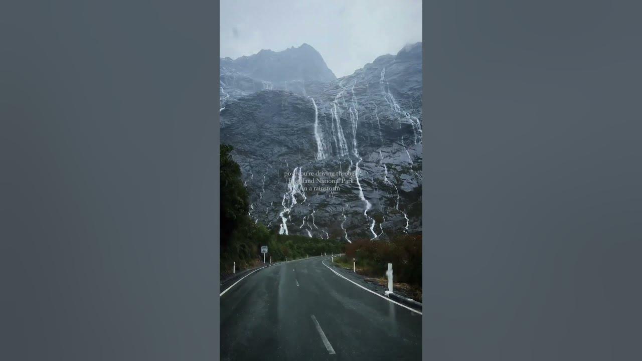 I'll never forget this day in Milford Sound, New Zealand🇳🇿 🌧🌲 #newzealand #world #fjords #mountains