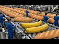 They Turn 10 Million Bananas Into Bread Every Day — Inside a Mega US Factory