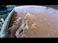 JUG FISHING FOR CHANNEL CATFISH