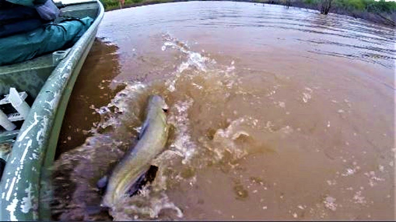 JUG FISHING FOR CHANNEL CATFISH YouTube