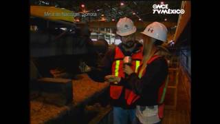 dTodo - Nacozari, Sonora