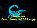 Гороскоп: Скорпион в 2022 году, что ждет знак зодиака