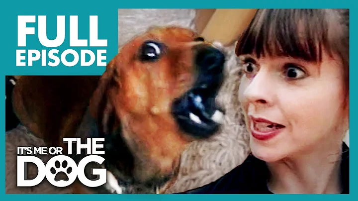 Miniature Dachshund With Big Attitude: Rufus 🌭| Full Episode | It's Me or The Dog - DayDayNews