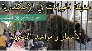 جولة في حديقة الحيوانات في الإسكندرية، الأسعار و مواعيد الدخول