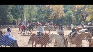 Agrupaciones Gauchas en Predio El Tuscal - Alta Gracia -