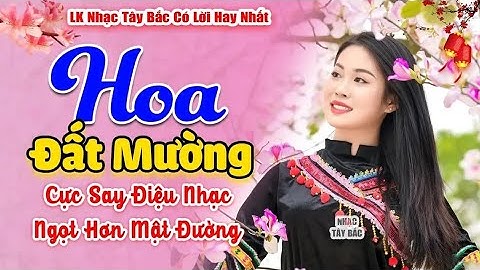 LK Nhạc Tây Bắc REMIX 2024 | HOA ĐẤT MƯỜNG | Khúc Nhạc Tình Hay BASS Đập Vang Khắp Bản Làng