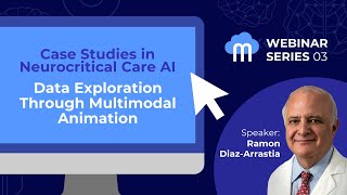 Data Exploration through Multimodal Animation