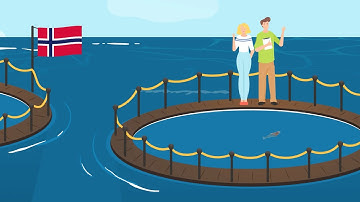 Vidéo Motion Design - IBM Blockchain