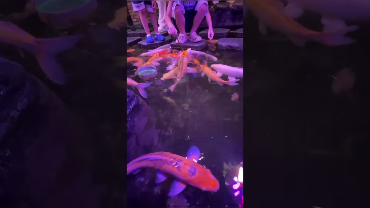 Oasis Cafe in Saigon. Ho Chi Minh City, Vietnam 🇻🇳 