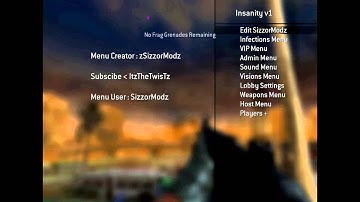 [COD 4/GSC]SizzorModz Insanatity v1