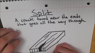 EDSE 307 - Assignment 2 - Joe Lucyshyn