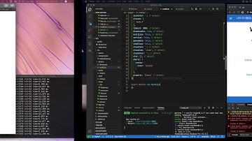 Vue와 Firebase로 나만의 사이트 만들기 19 에러 처리하기
