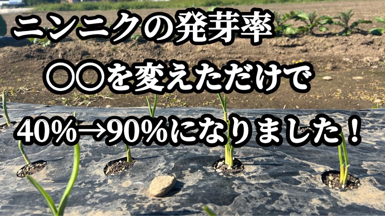 Garlic cultivation] After changing XX, the germination rate