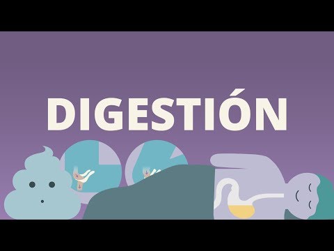 La digestión es la cuestión - Resumen del libro de Giulia Enders por natugood