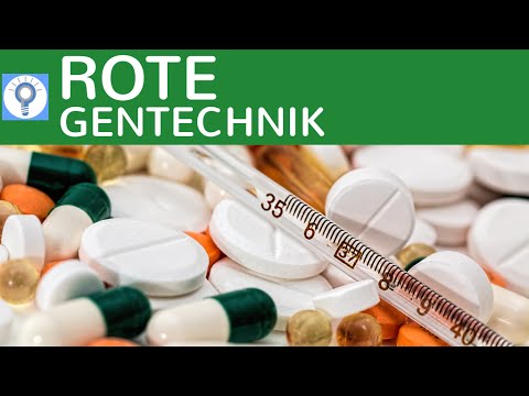 Rote Gentechnik - Genetik in der Medizin einfach erklärt + Vor- & Nachteile | Gentechnologie