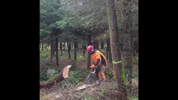 Winch assisted fell with Logbullet