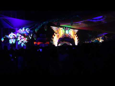 Boom Festival 2014
