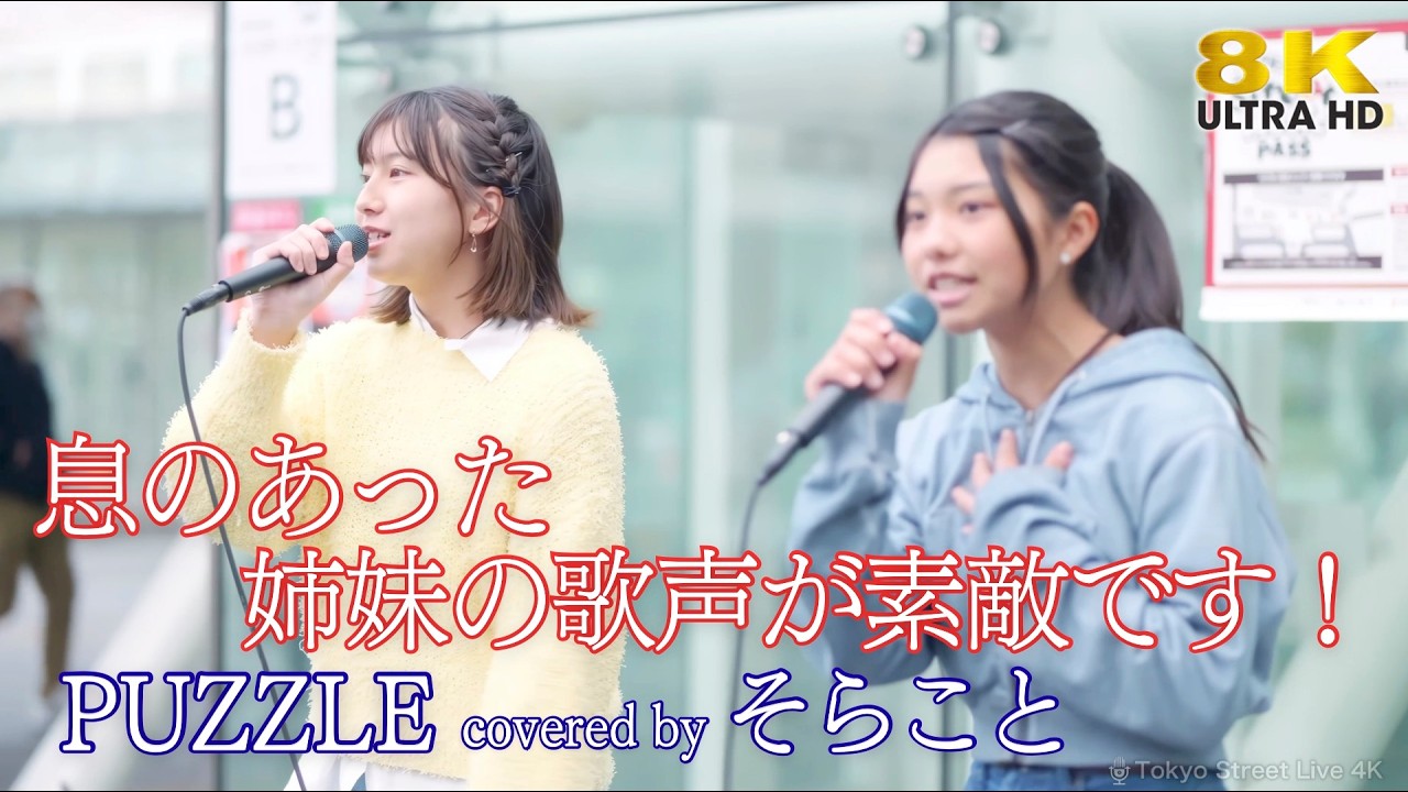 歌うま 】息のあった姉妹の歌声が素敵です！ PUZZLE / 清水翔太