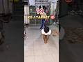 🥺 20 Push-Ups Target 🎯 Complete Nahi Hua | Home Workout | #pushups #homeworkout #fitness #shorts